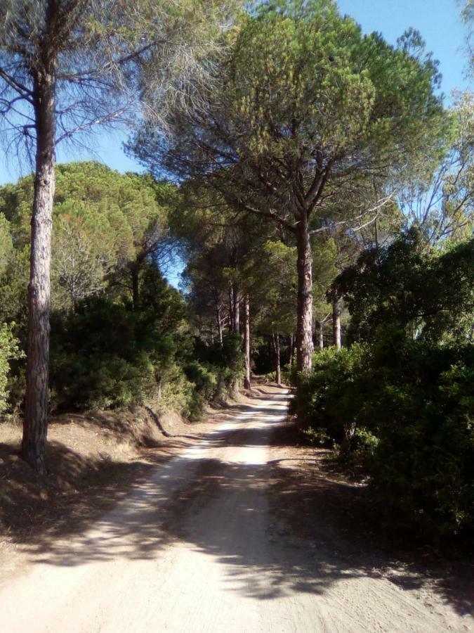 Appartamento Vacanze Sardegna Siniscola Dış mekan fotoğraf